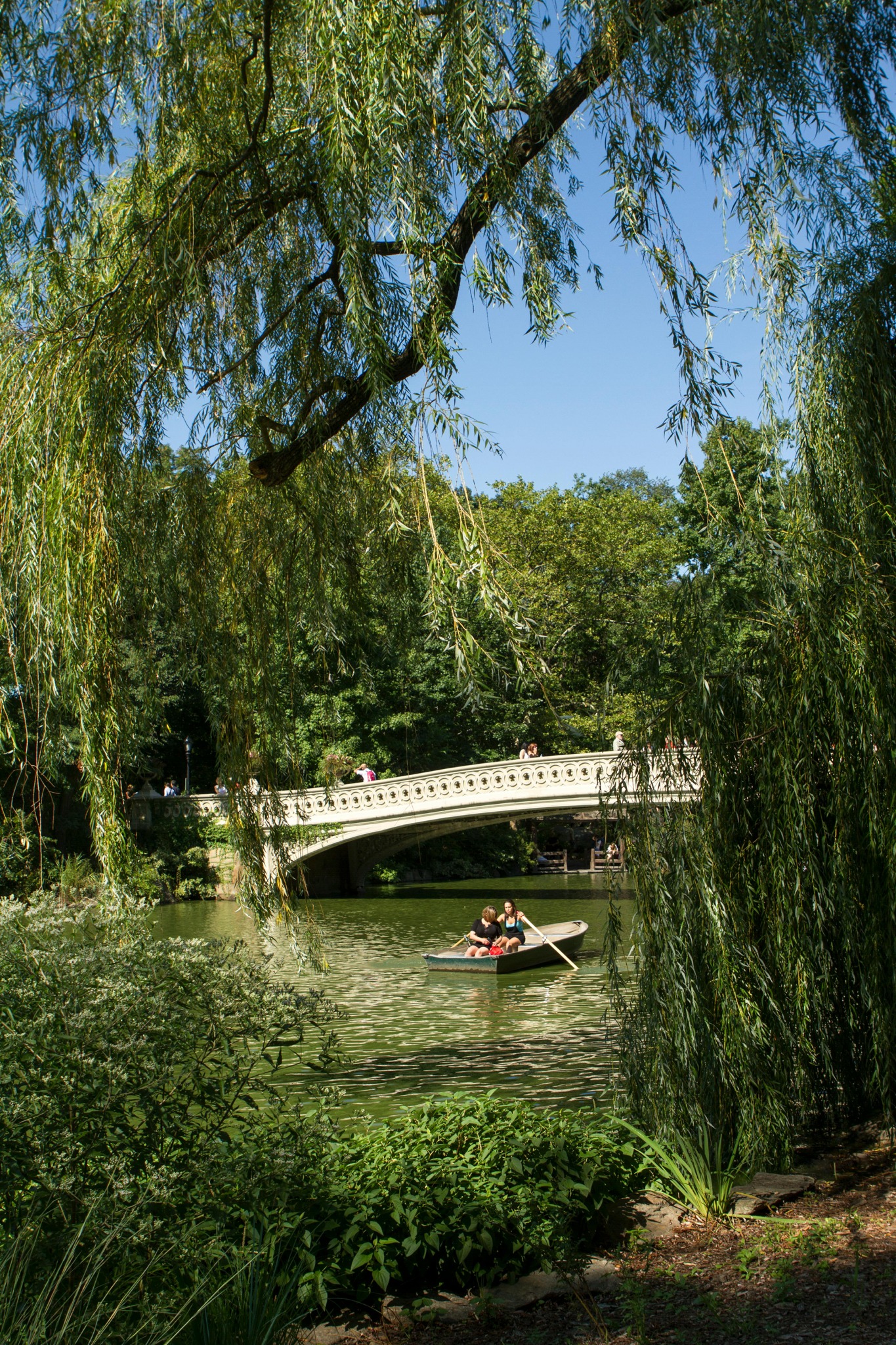 Central Park bridge and boat